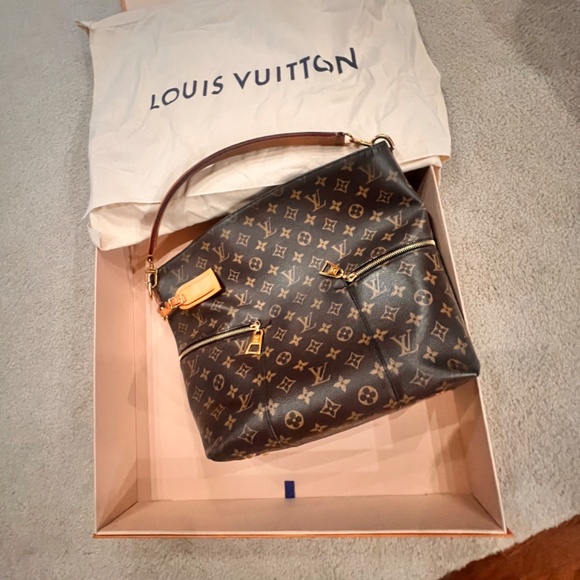 Louis Vuitton Hobo Style Bag - Picture 10 of 11